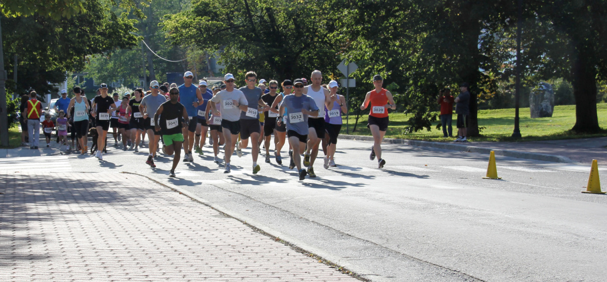 IMG_1185-small-1200x558